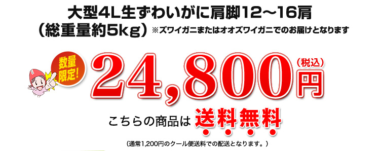 24,800円(税込)