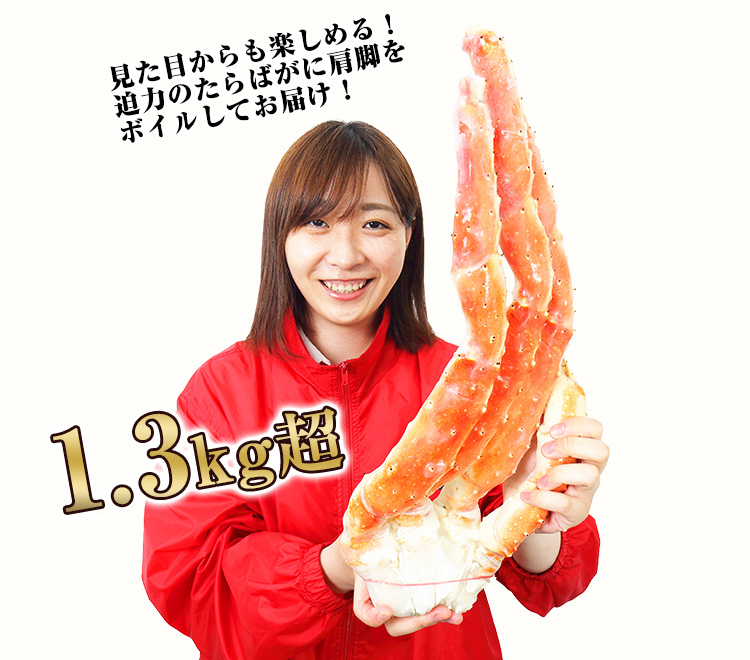 約1.3kg