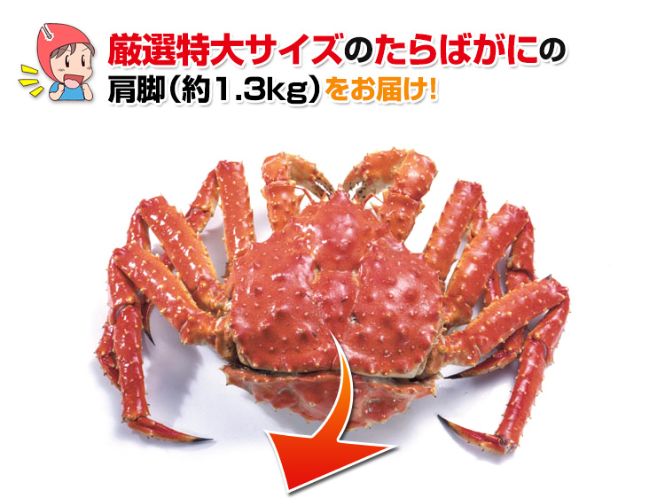 厳選特大サイズのたらばがにの肩脚をお届け!