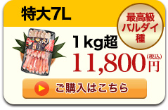 609リンク
