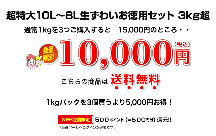 3kg超 10,000円（税込）
