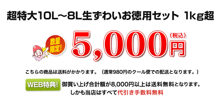 1kg超 5,000円（税込）
