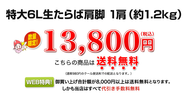 13,800円