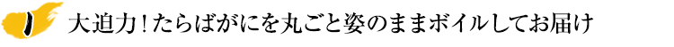 大迫力！たらばがに丸ごと姿のままボイルしてお届け