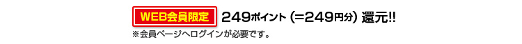 249ポイント
