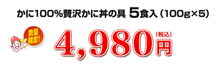 4,980円（税込）