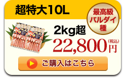 624リンク