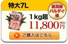 609リンク