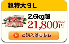 342リンク