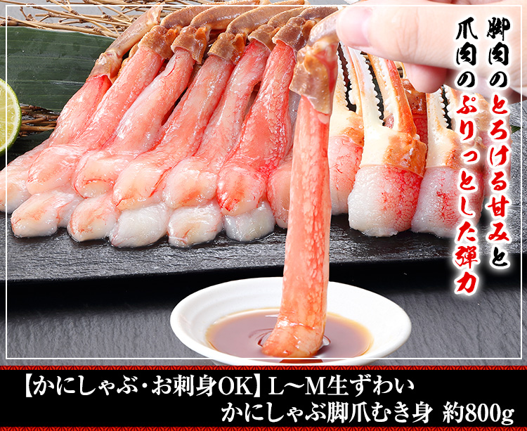 【かにしゃぶ・お刺身OK】L～M生ずわいかにしゃぶ脚爪むき身 約800g