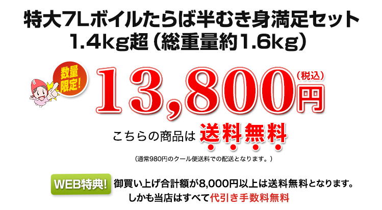 13,800円（税込）
