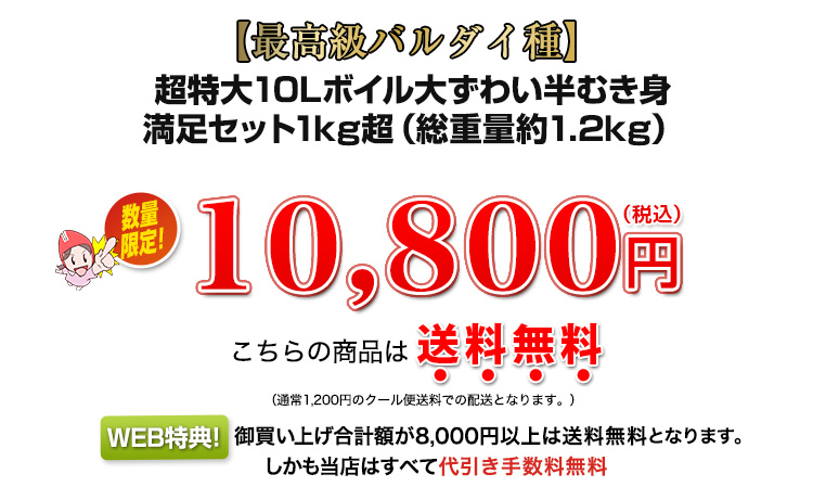 10,800円（税込）