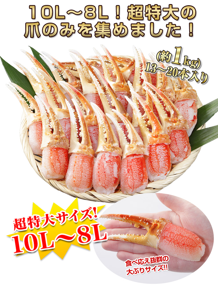 10L～8L！超特大の爪のみを集めました！