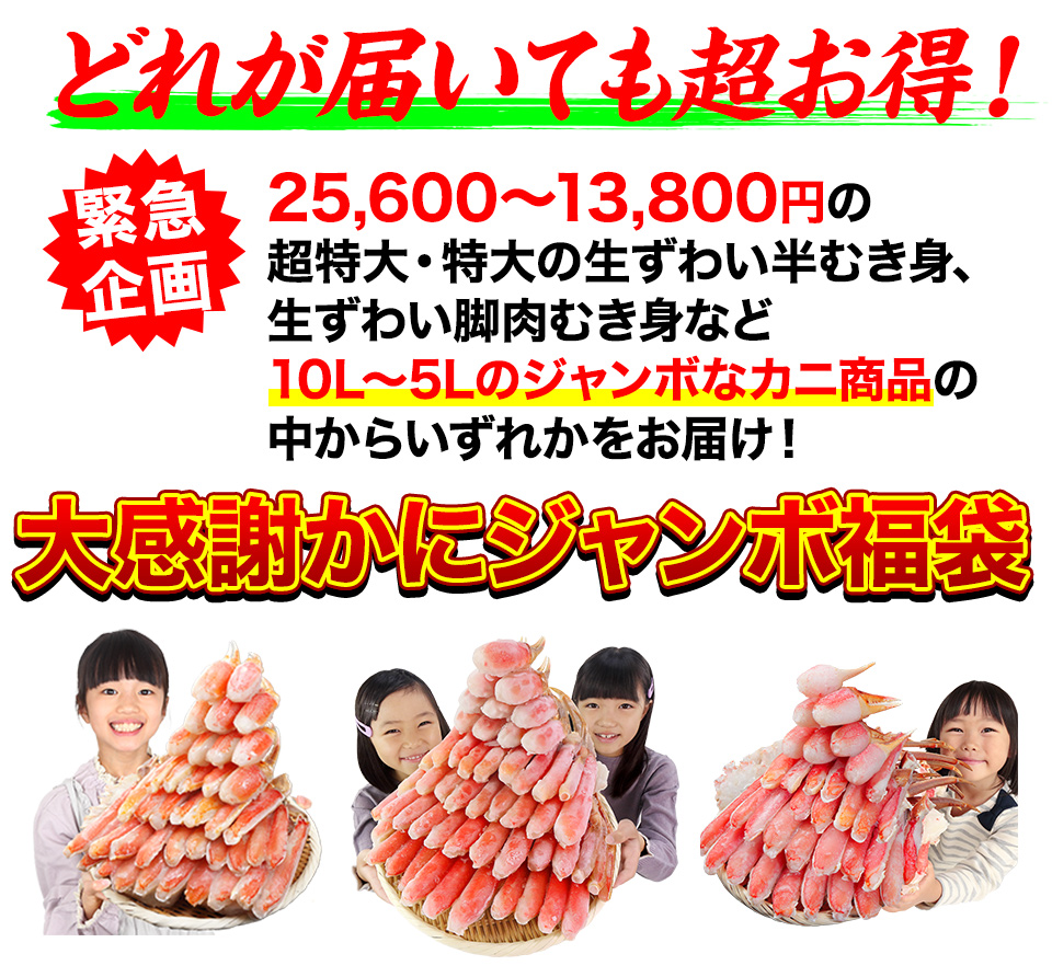 どれが届いても超お得