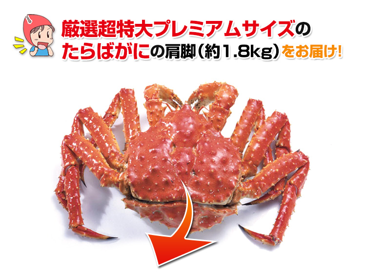 厳選特大サイズのたらばがにの肩脚をお届け!