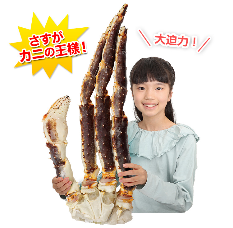 644：超特大8L生たらばがに肩脚1肩(総重量約1.8kg)