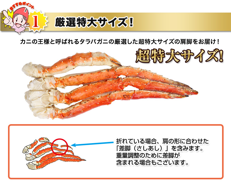 かにの王様と呼ばれるに相応しい特大サイズ