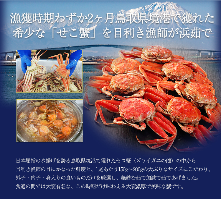 漁獲時期わずか2ヶ月鳥取県境港で獲れた希少な「せこ蟹」を目利き漁師が浜茹で
