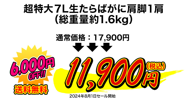 11,900円（税込）