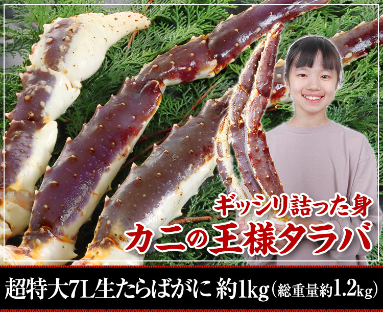 特大生たらば脚1kg超（総重量約1.2kg）