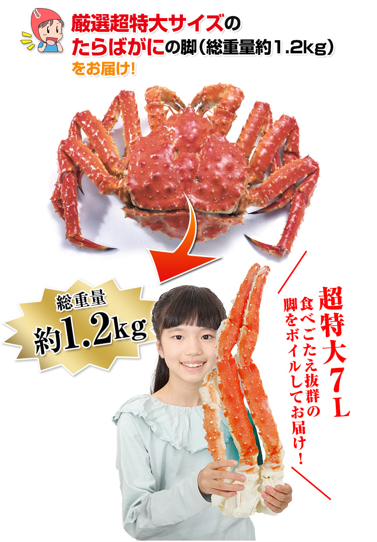 691：超特大7Lボイルたらばがに（総重量約1.2kg）