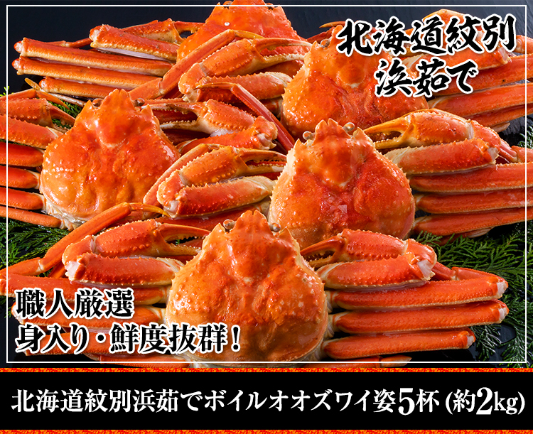 北海道紋別浜茹でボイルオオズワイ姿5杯(約2kg)