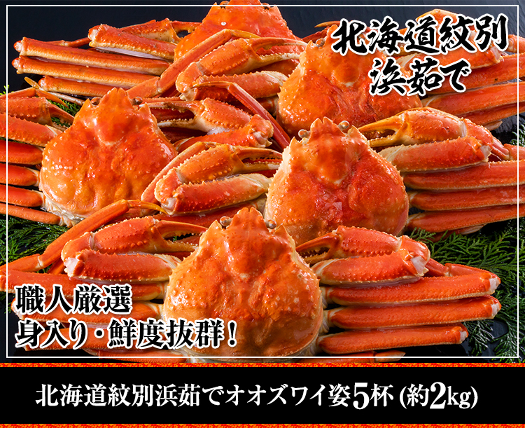 北海道紋別浜茹でボイルオオズワイ姿5杯(約2kg)