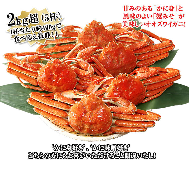 2?超(5杯)
1杯当たり約400gで食べ応え抜群!かに身好き、かに味噌好きどちらの方にもお喜びいただけること間違いなし!