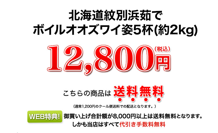 12,800円(税込)