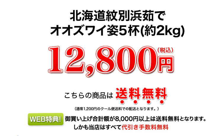 12,800円(税込)