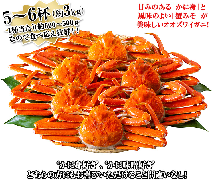 3kg超（5～6杯）1杯当たり約600～500ｇなので食べ応え抜群！！かに身好き、かに味噌好きどちらの方にもお喜びいただけること間違いなし！