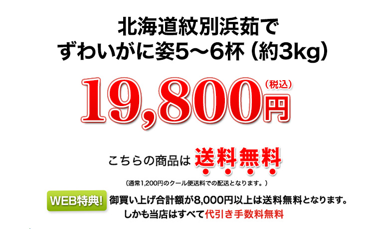 19,800円（税込）