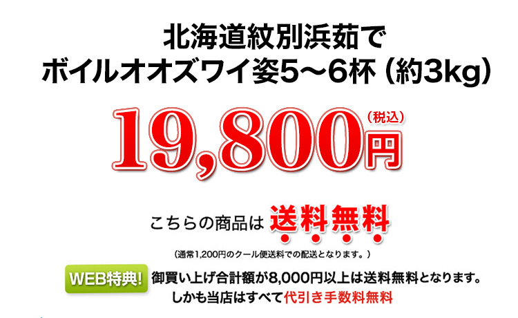 19,800円（税込）