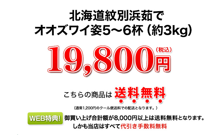 19,800円(税込)