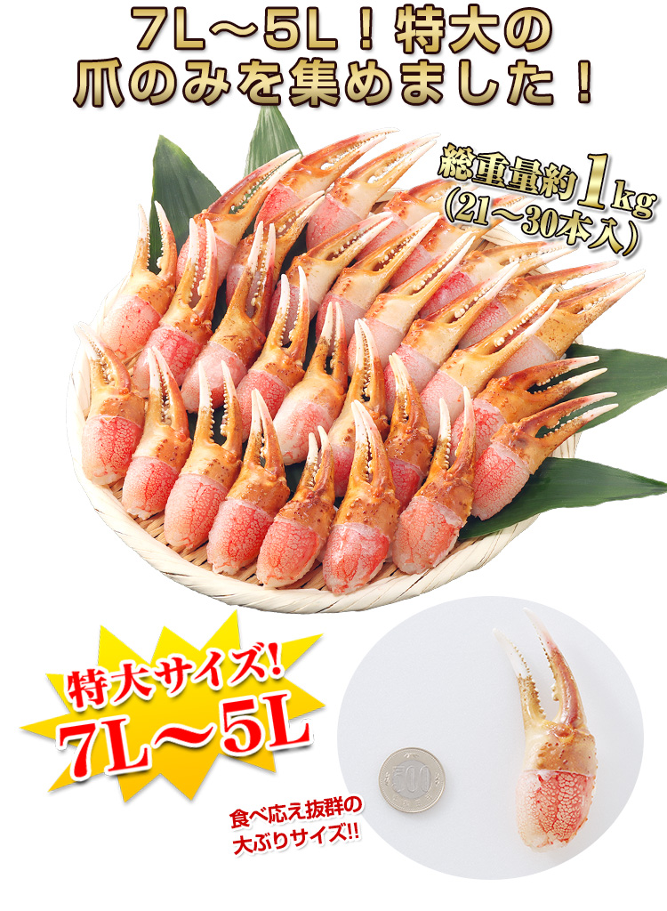 7L~5L!特大の爪のみを集めました!