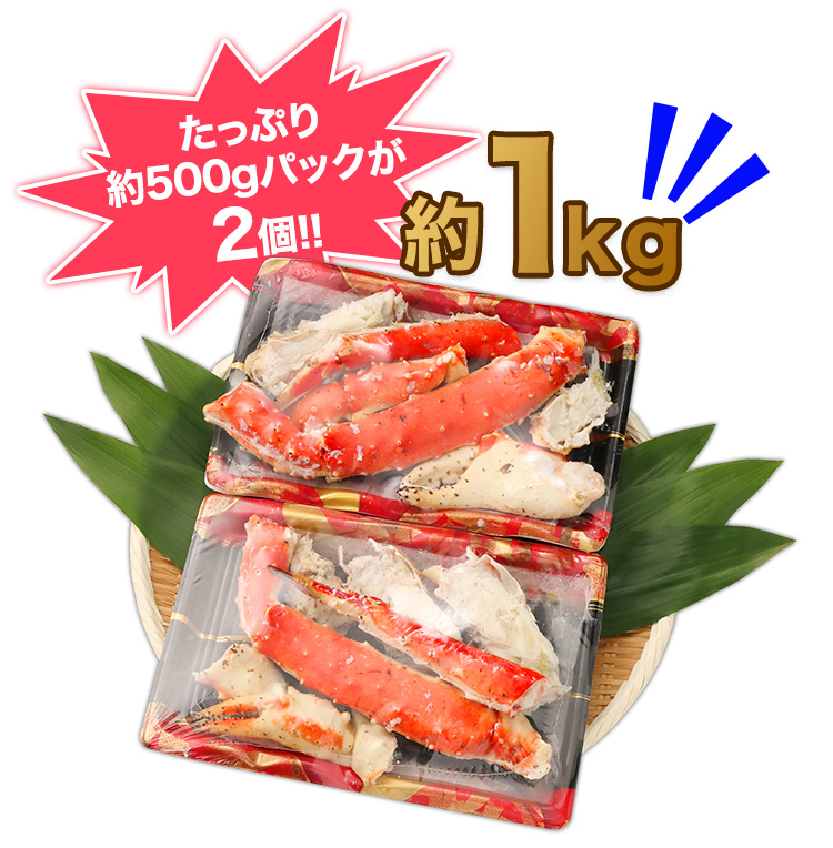 約500ｇ