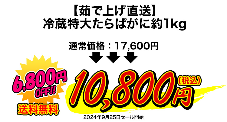 10,800円（税込）