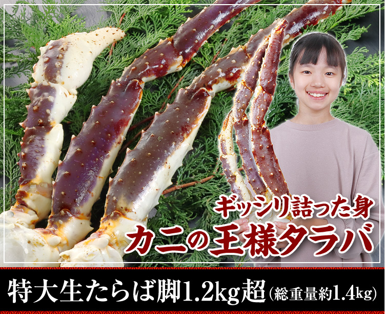 特大生たらば脚1.2kg超（総重量約1.4kg）