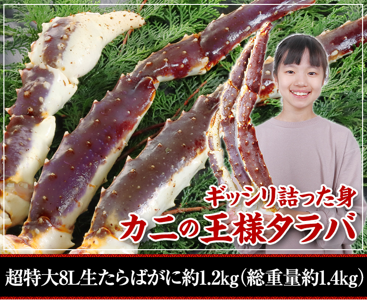 超特大8L生たらば（総重量約1.4kg）