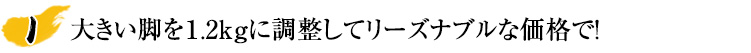 大きい脚を1.2kgに調整してリーズナブルな価格で！