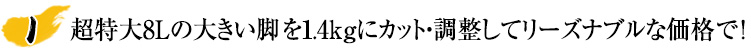 大きい脚を1.4kgに調整してリーズナブルな価格で！