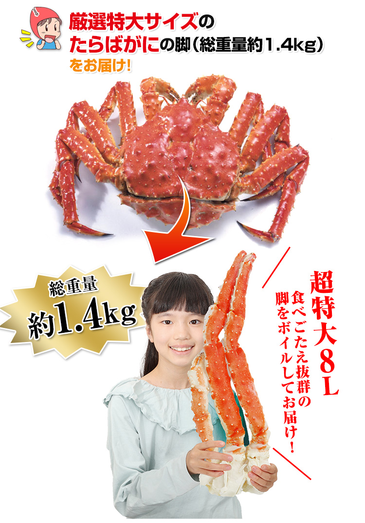 約1.2kg