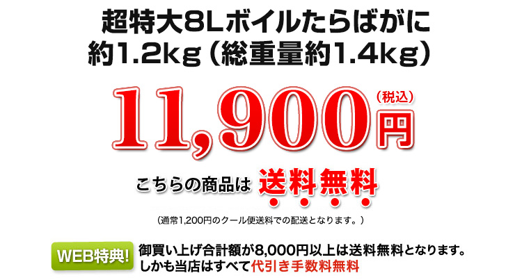 11,900円(税込)
