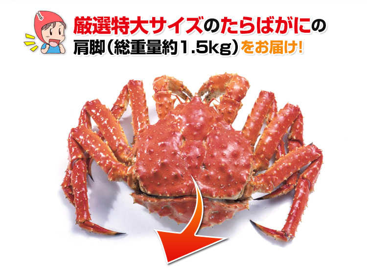 厳選特大サイズのたらばかにの肩脚をお届け