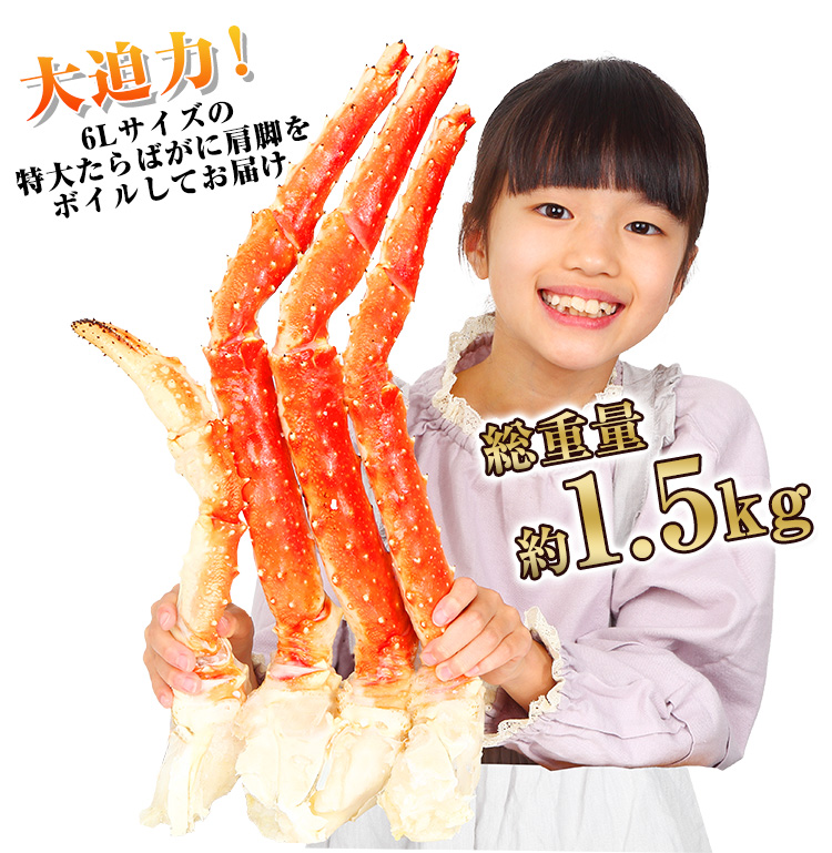 大迫力！1.5kg超