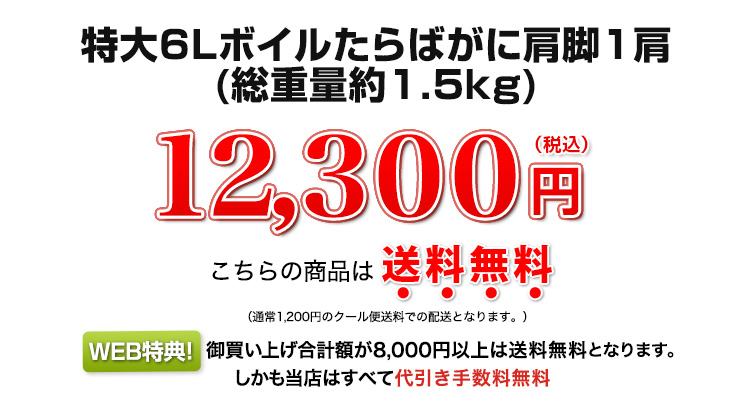 12,300円(税込)