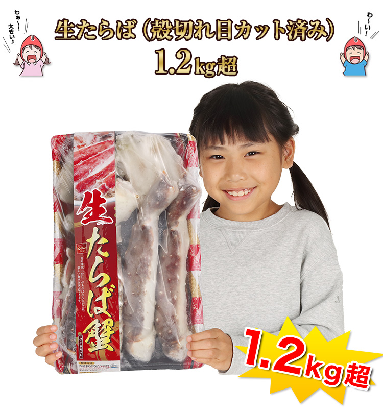 生たらば（殻切れ目カット済み）1.2㎏超