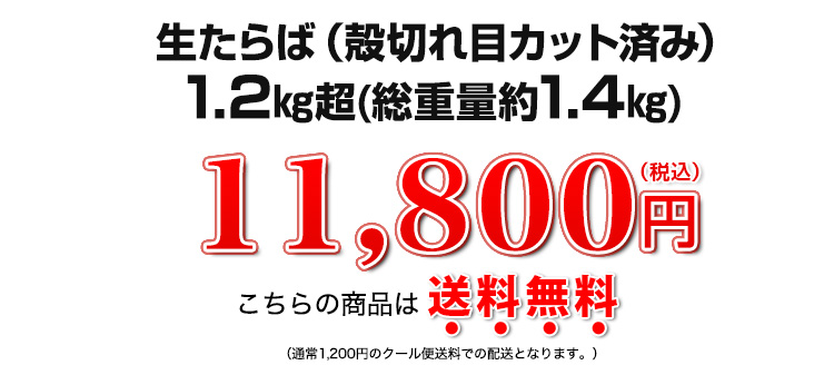 11,800円（税込）