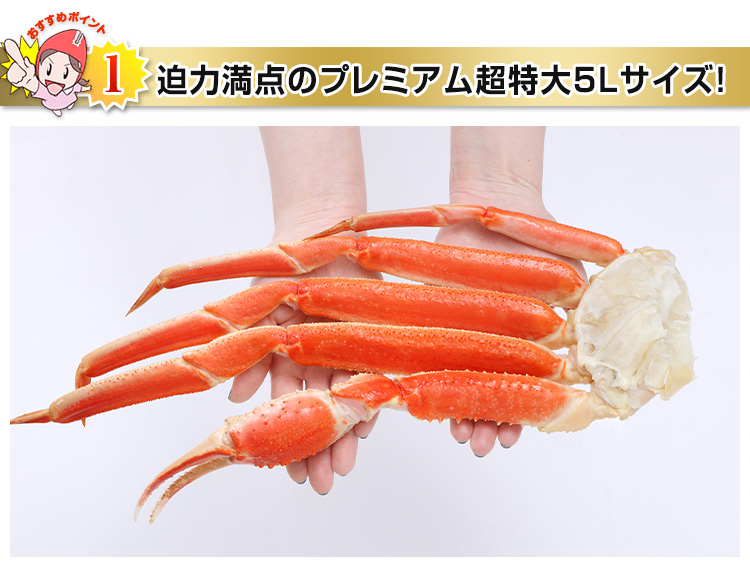 4Lサイズってこんなに大きいんです!!