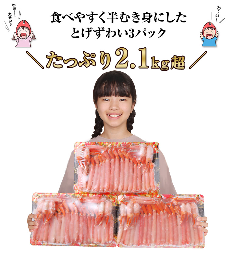 カニさん専用‼️ 740：【刺身可】 生とげずわい満足セット2.1kg超（総重量約2.5kg）